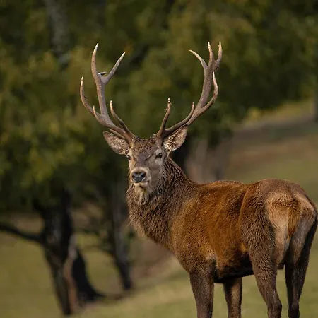 L'aurore Des Hautes Fagnes 30 Pers- Malmedy, Vue Exceptionnelle, Wellness Malmedy