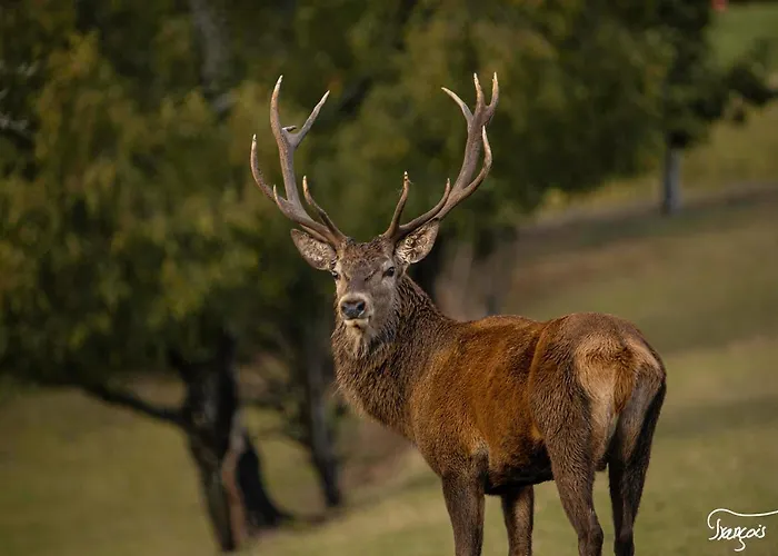 L'aurore Des Hautes Fagnes 30 Pers- Malmedy, Vue Exceptionnelle, Wellness Malmedy